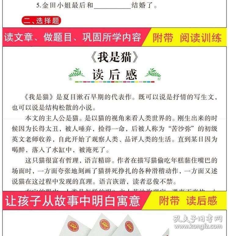 新澳天天开奖资料大全的推荐理由,全面释义解释落实