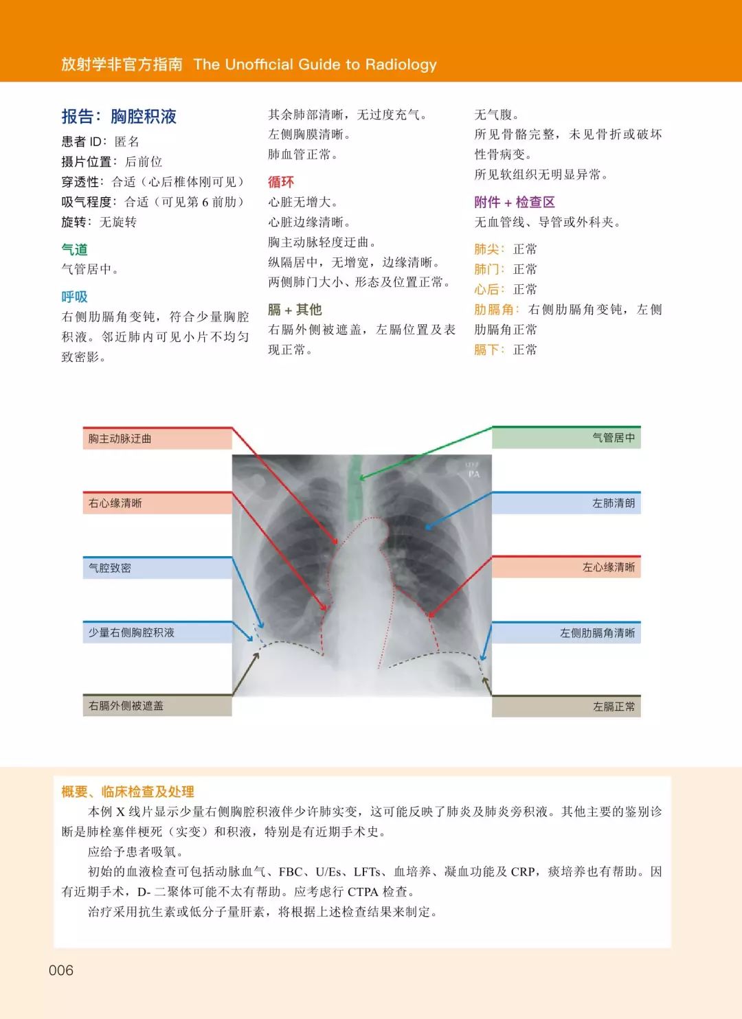 2025年正版免费天天开彩,全面释义解释落实