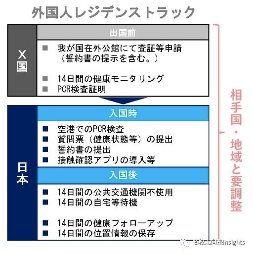 新澳天天免费资料查询,全面释义解释落实