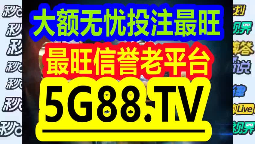 管家婆204年資料一肖,全面释义解释落实