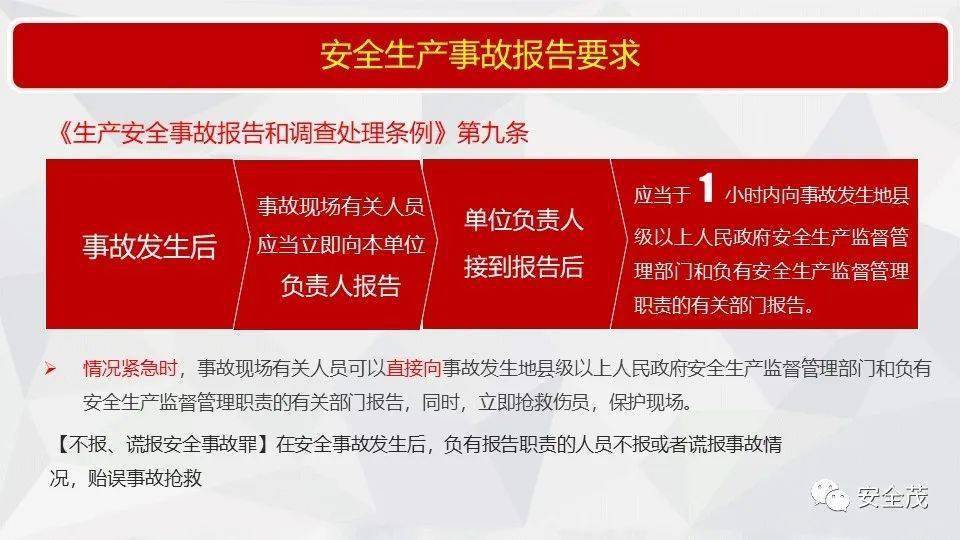 2025新澳开奖结果,全面释义解释落实