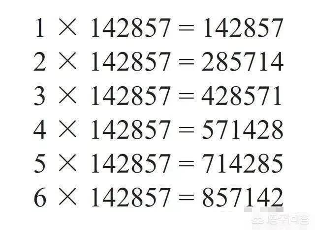 7777788888一肖一码,探索神秘数字组合，77777与88888一肖一码的魅力