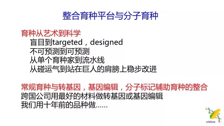 新澳2025资料大全免费,新澳2025资料大全免费，探索与机遇