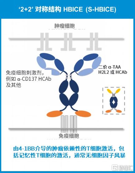 2025新澳今晚资料,探索未来，聚焦新澳今晚资料与未来趋势预测（2025展望）