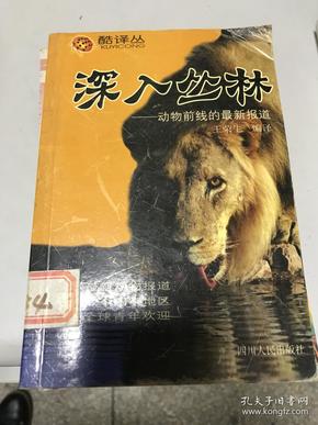 2025四不像正版最新版本,探索最新正版2025四不像版本，游戏与娱乐的全新境界