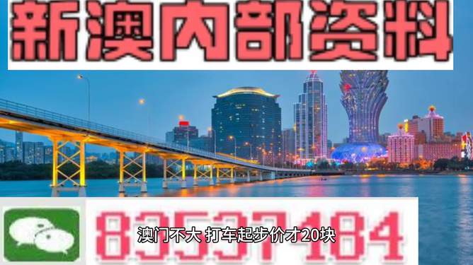 2025年新澳门正版资料精选,探索未来之门，澳门正版资料精选与未来的展望（2025年视角）