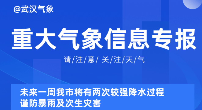 2025新奥精选免费资料,探索未来，2025新奥精选免费资料深度解析