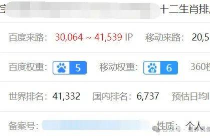 一码一肖100准,一码一肖，精准预测的神秘魅力与探索之路