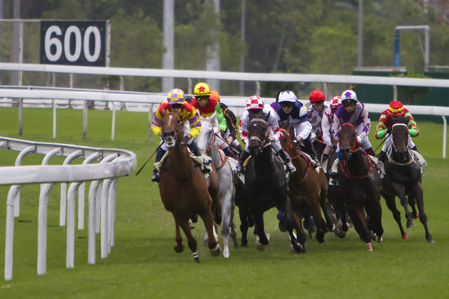 香港今晚开什么特马,香港今晚开什么特马，探索赛马世界的奥秘与魅力