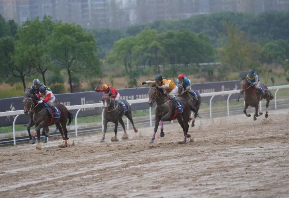 新澳今天开什么特马,新澳今天开什么特马，探索赛马运动的魅力与神秘