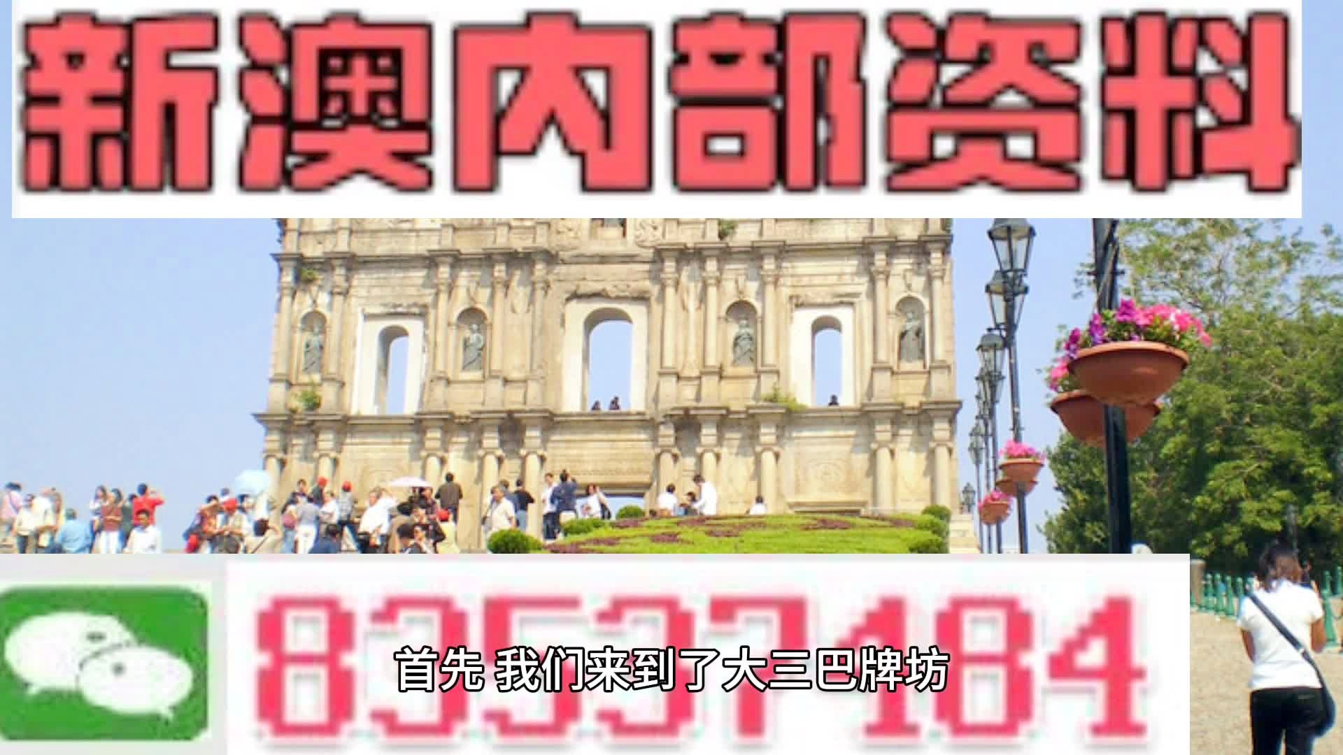 2025年新澳门王中王免费,探索新澳门王中王游戏世界，免费体验的独特魅力到2025年